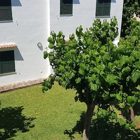 דירה 18 Menorca Biniforcat